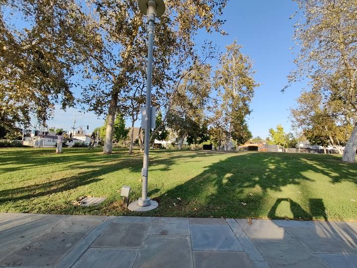 A lawn under tall trees at Colorado Center Park