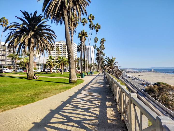 A palm-lined path along the bluff in Palisades Park above the beach