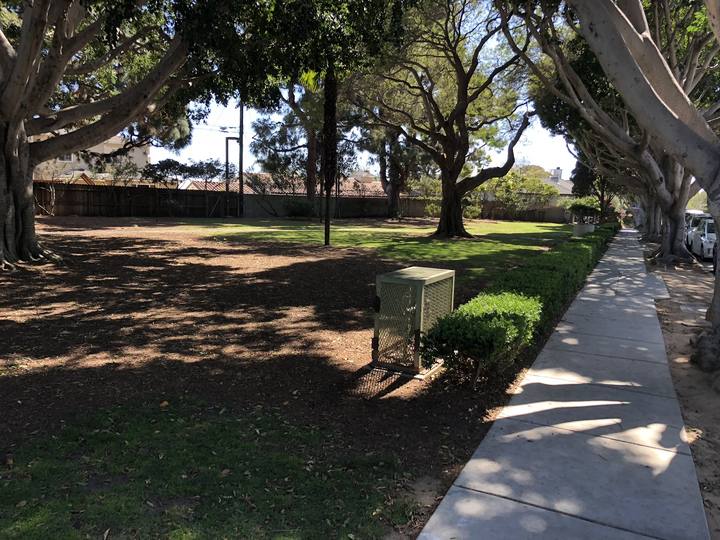 A shaded path under tall trees in Ashland Park