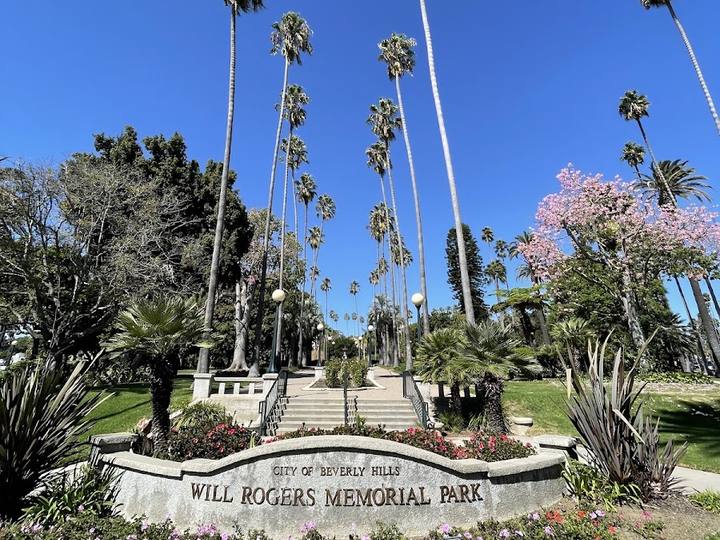 Tall palm trees over Will Rogers Memorial Park, Beverly Hills